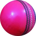 Cricket Hard Ball